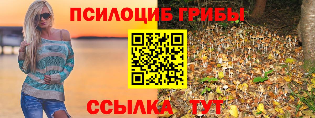 Галлюциногенные грибы Cubensis Изобильный